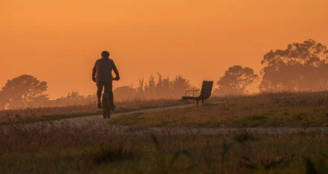 All About Touring Bikes: Practical Tips and Top 7 Models