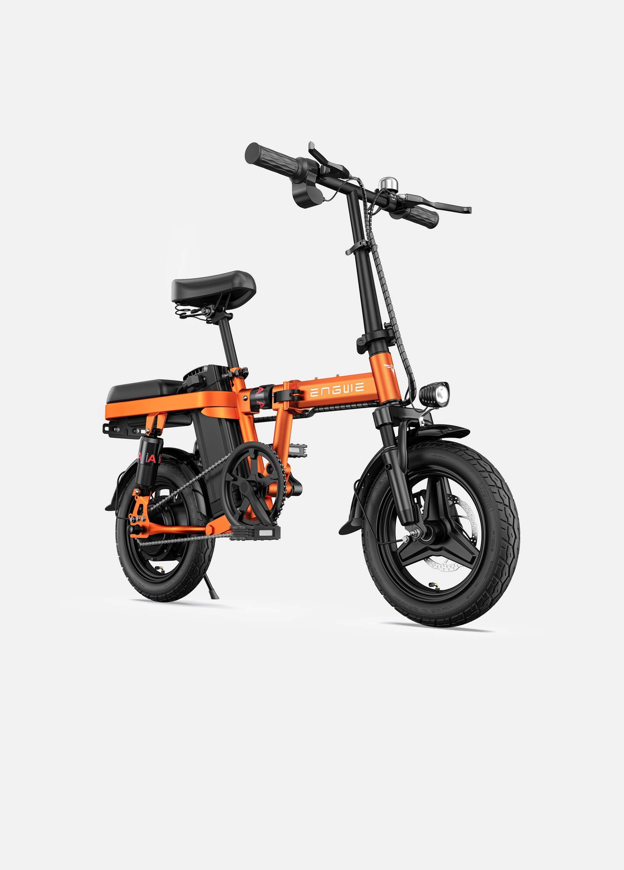 New Arrival 2025