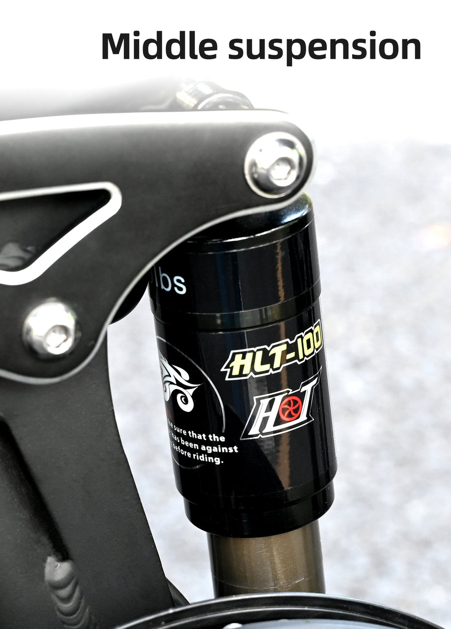 ENGWE ENGINE X 250W 100 km Range Max Speed 25 km/h Full Suspension Foldable E-bike