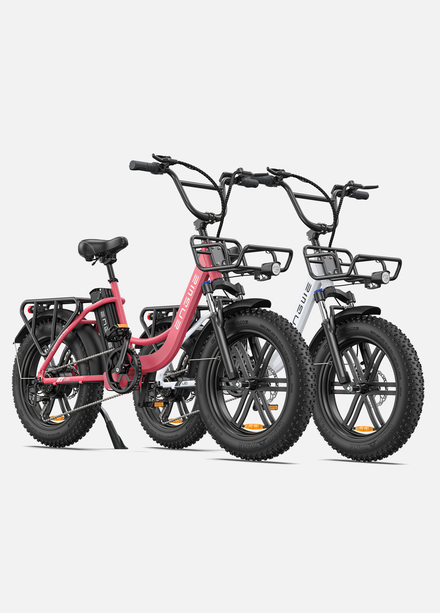 L20 COMBO 250W 140 km Max Speed 25 km/h Front Suspension Step-Thru E-bike