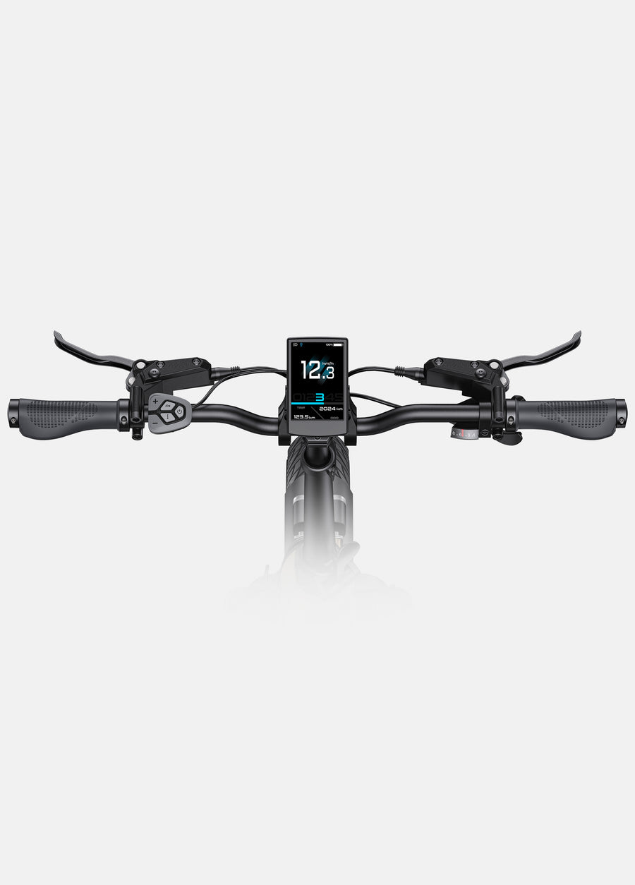 L20 3.0 Pro 250W 100Nm Mid-drive Motor Full Suspension Compact E-bike