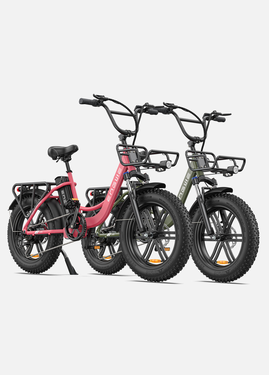 L20 COMBO 250W 140 km Max Speed 25 km/h Front Suspension Step-Thru E-bike