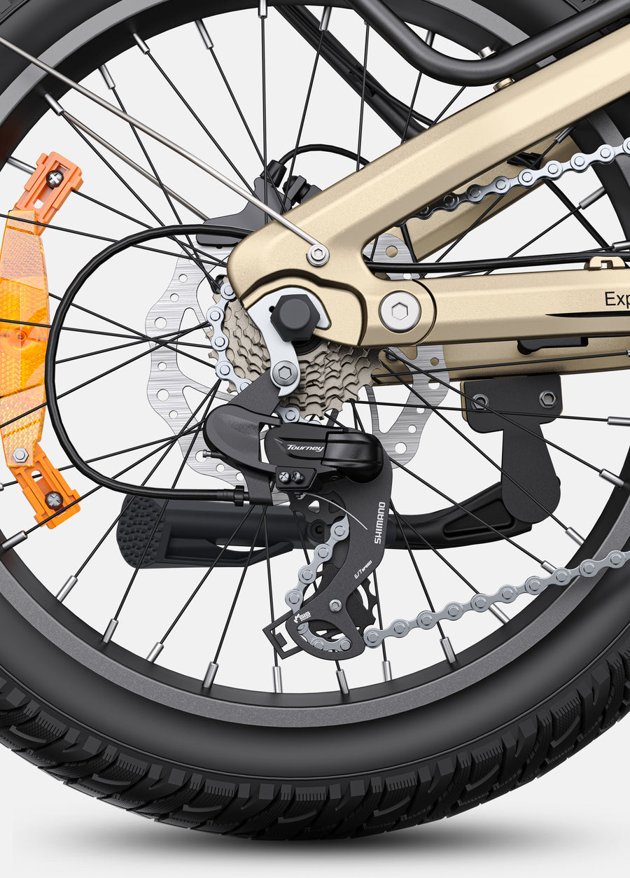 L20 3.0 Pro 250W 100Nm Mid-drive Motor Full Suspension Compact E-bike