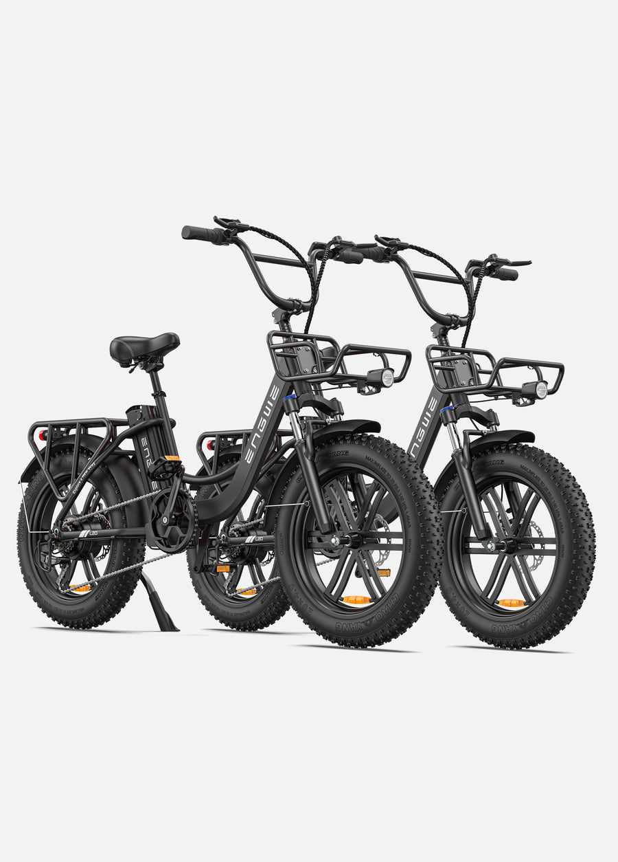 L20 COMBO 250W 140 km Max Speed 25 km/h Front Suspension Step-Thru E-bike