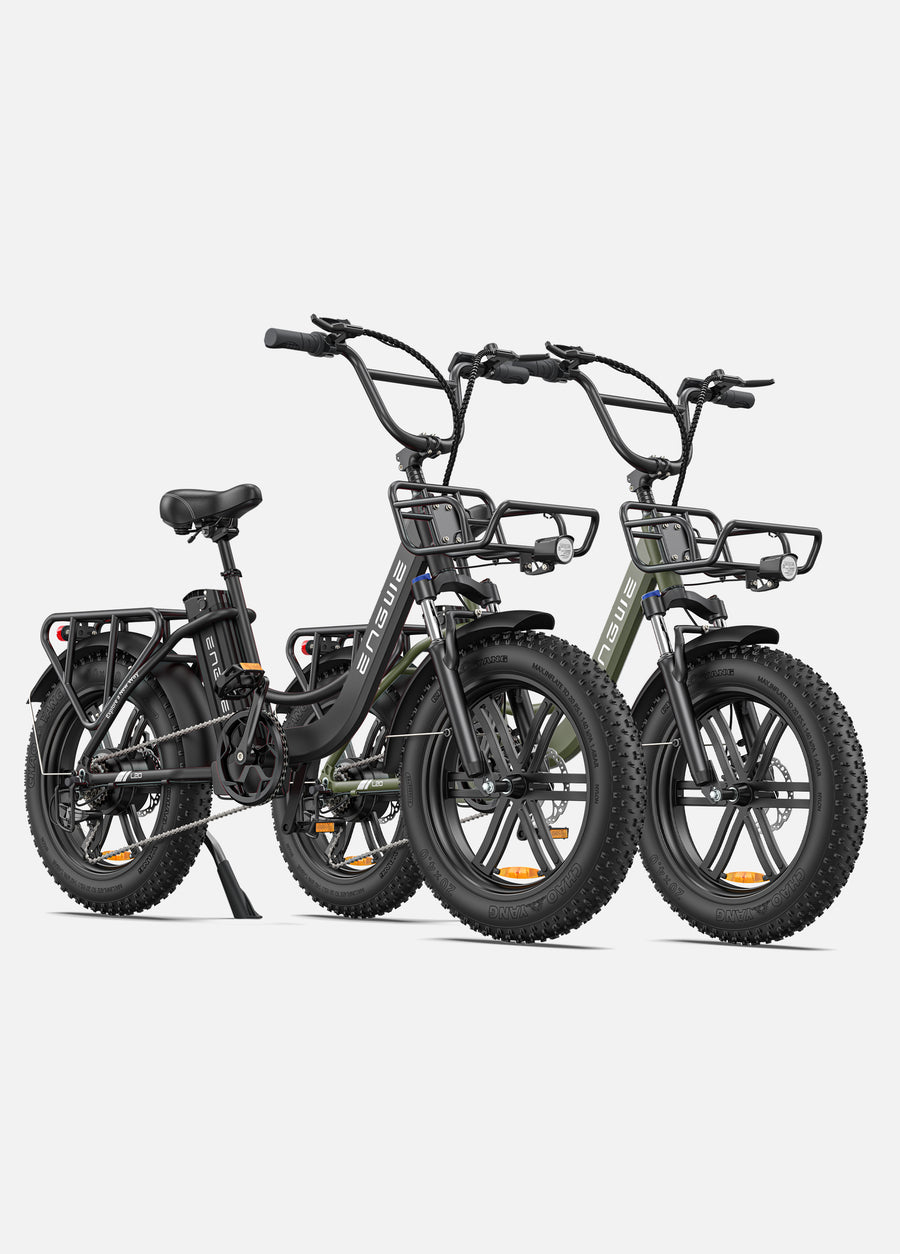 L20 COMBO 250W 140 km Max Speed 25 km/h Front Suspension Step-Thru E-bike