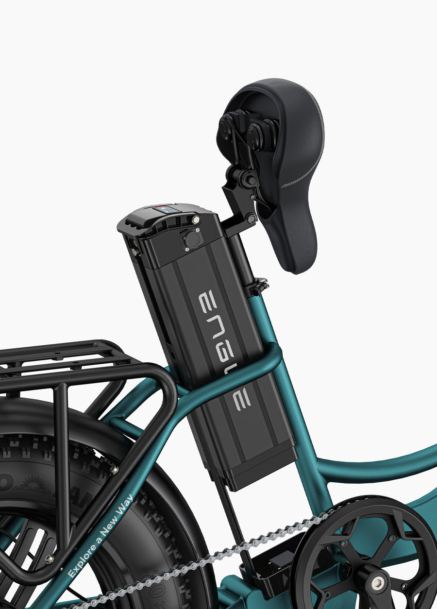 L20 Boost Combo 250W 126KM 25KM/H Power-boost Torque Sensor Step-Thru E-bike