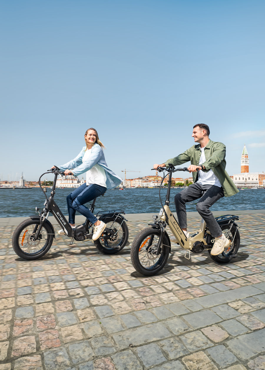 L20 3.0 Pro 250W 100Nm Mid-drive Motor Full Suspension Compact E-bike