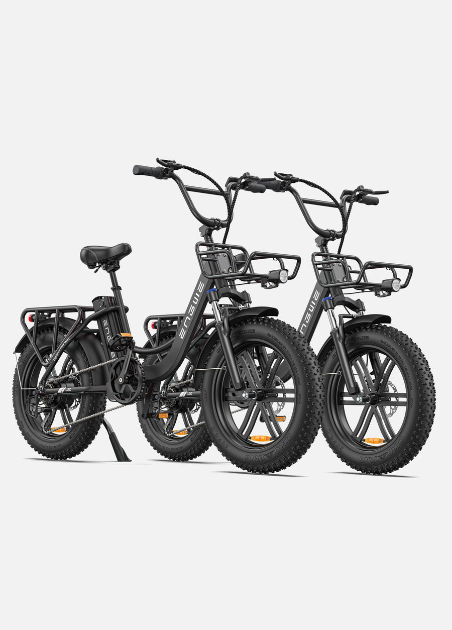 L20 COMBO 250W 140 km Max Speed 25 km/h Front Suspension Step-Thru E-bike