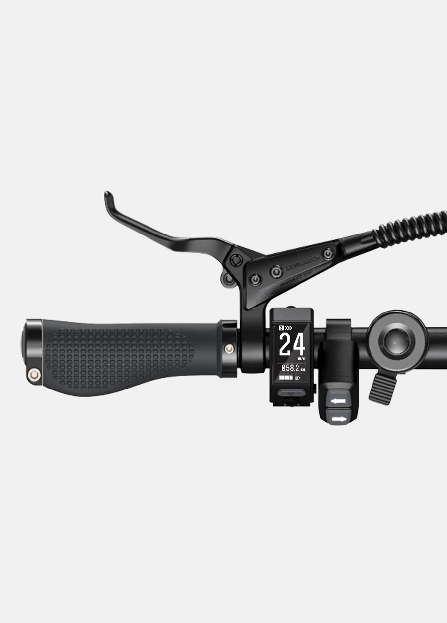 ENGWE P20 250W Max Speed 25 km/h Quiet Motor with Torque Sensor Folding E-Bike