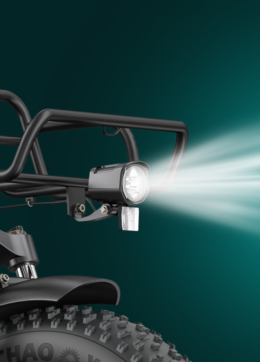 L20 Boost Combo 250W 126KM 25KM/H Power-boost Torque Sensor Step-Thru E-bike