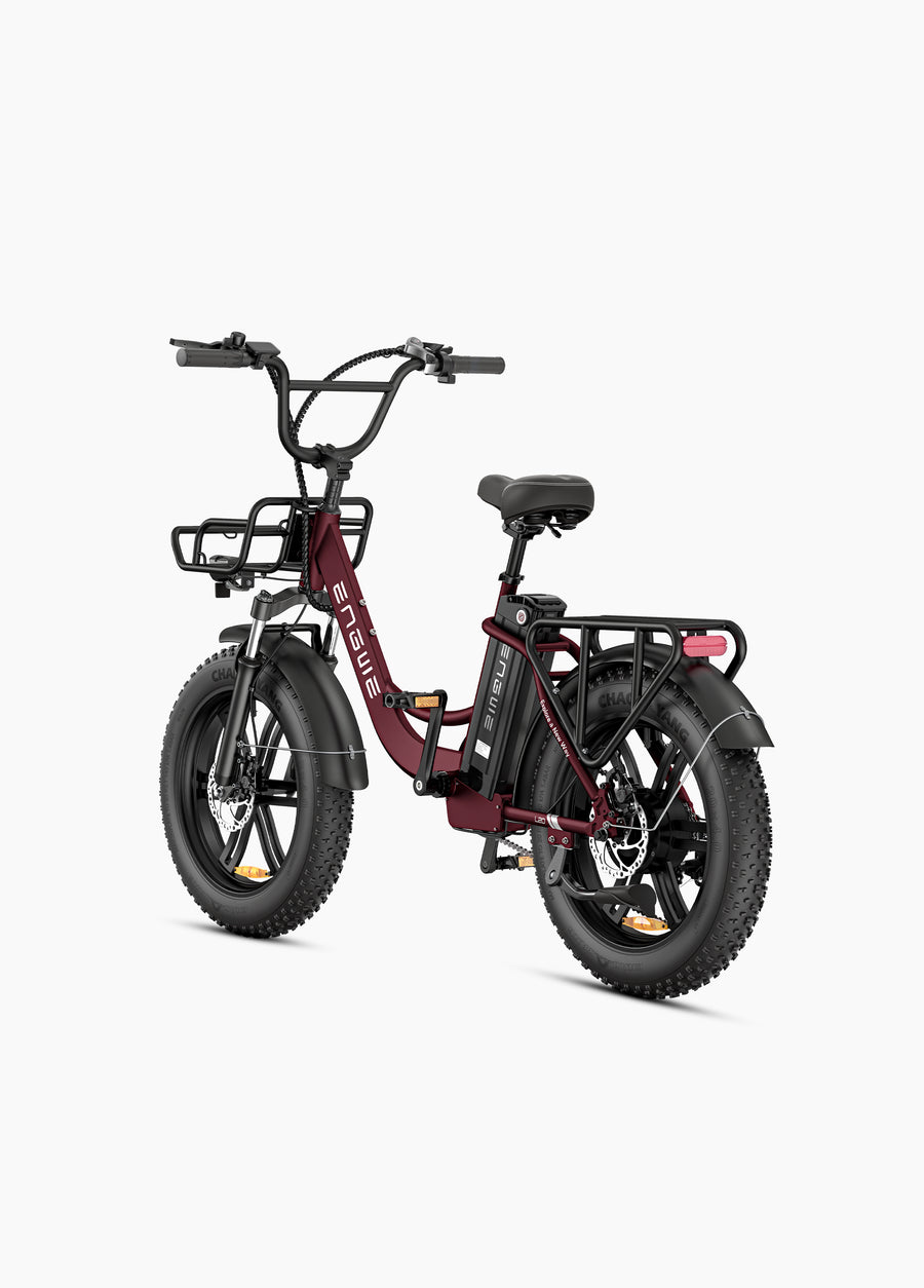 L20 Boost Combo 250W 126KM 25KM/H Power-boost Torque Sensor Step-Thru E-bike