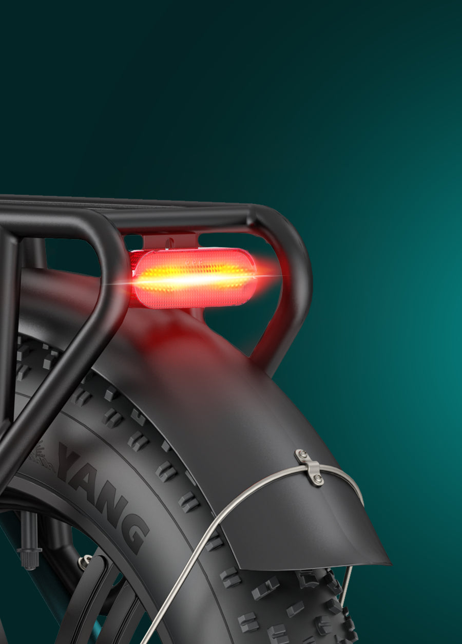 L20 Boost Combo 250W 126KM 25KM/H Power-boost Torque Sensor Step-Thru E-bike