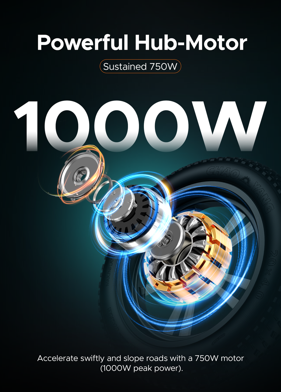 ENGWE M20 75KM+75KM Max Speed 25 km/h Dual Suspension Long Range E-bike