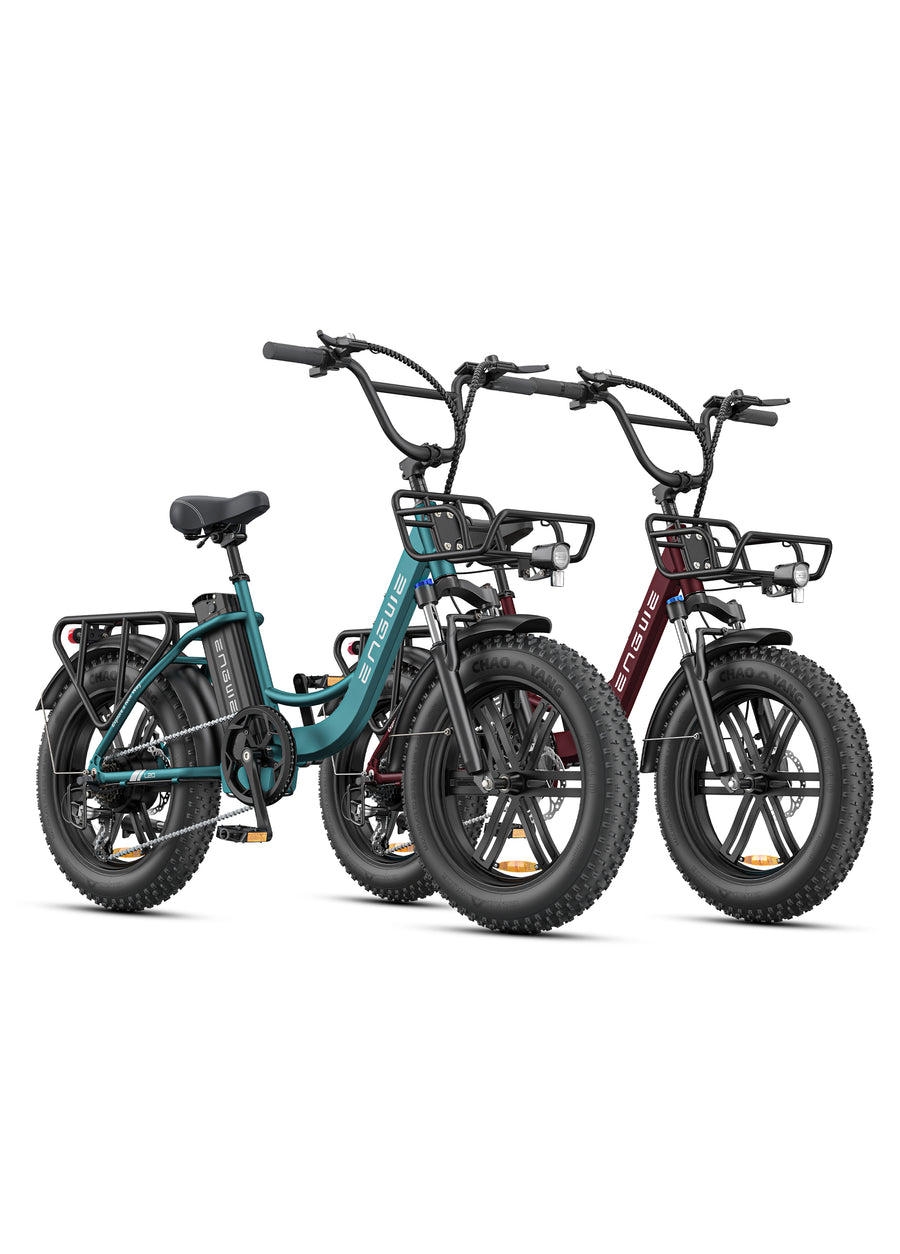 L20 Boost Combo 250W 126KM 25KM/H Power-boost Torque Sensor Step-Thru E-bike