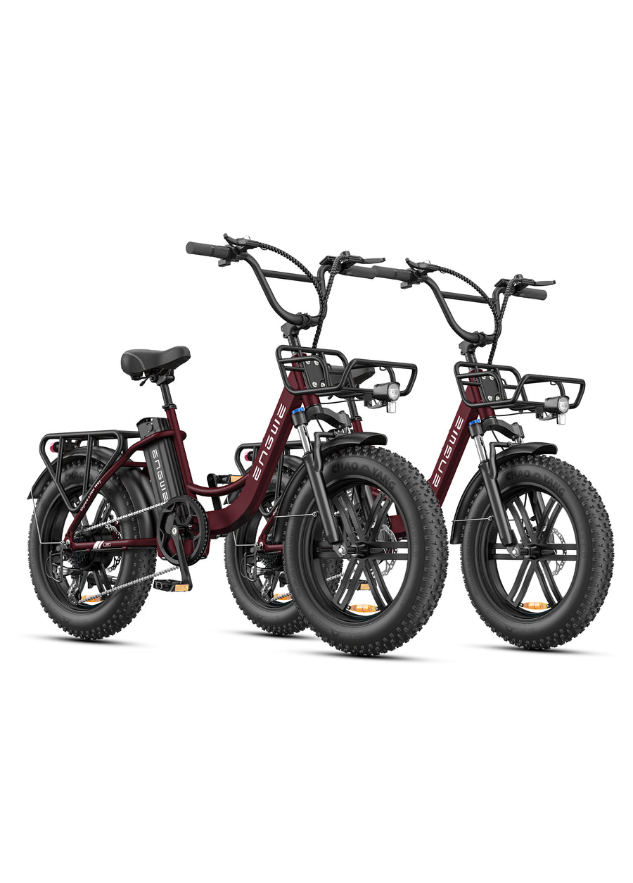 L20 Boost Combo 250W 126KM 25KM/H Power-boost Torque Sensor Step-Thru E-bike