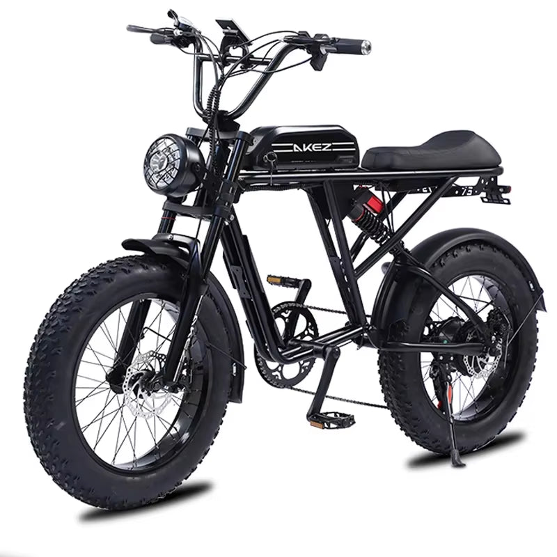 20 Inch Retro Two Wheel Electric Bike Soft Tail Double Snow Absorber Electric Bike on Thick Tires 26Ah48V1500W Ebike