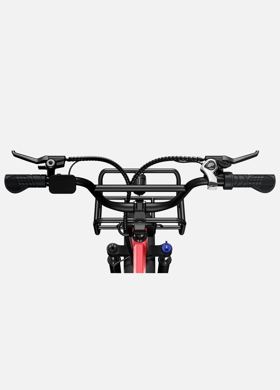 ENGWE L20 250W 140km Max Speed 25 km/h Front Suspension Step-Thru E-bike