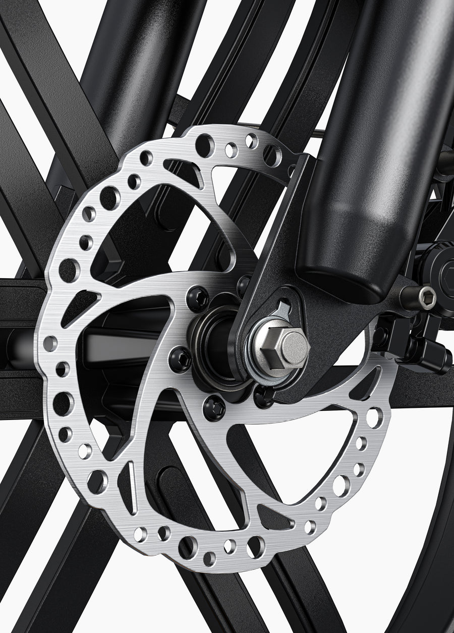 L20 Boost Combo 250W 126KM 25KM/H Power-boost Torque Sensor Step-Thru E-bike