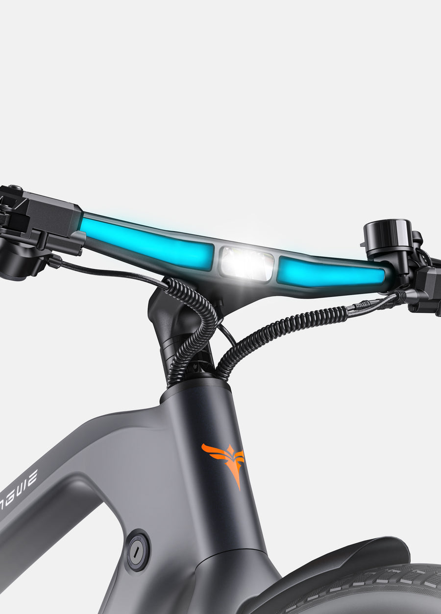 MAPFOUR N1 PRO 250W Mid-drive Motor, 80Nm Torque Carbon Fiber City E-bike