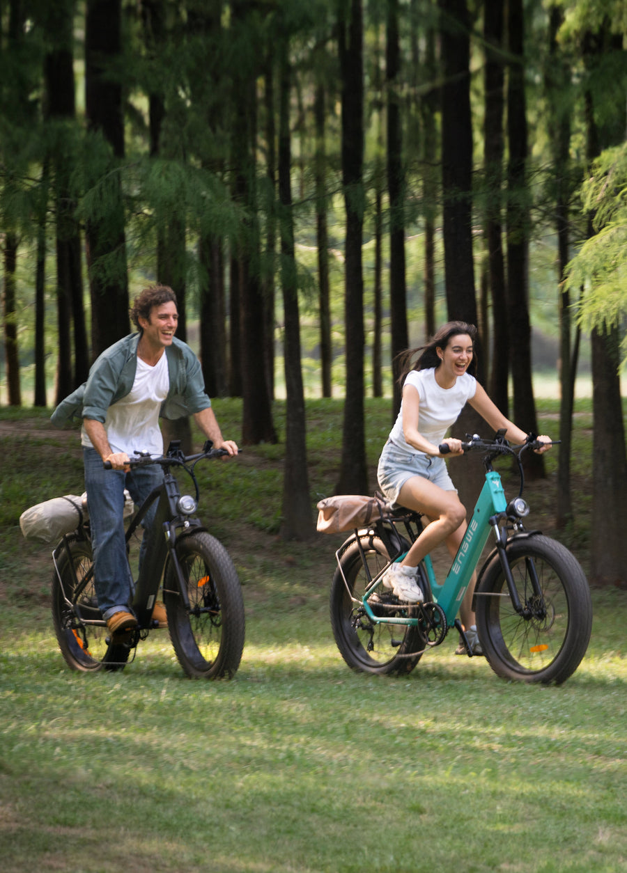 ENGWE E26 250W 140 km Max Speed 25 km/h Dual Suspension All-Terrain E-bike