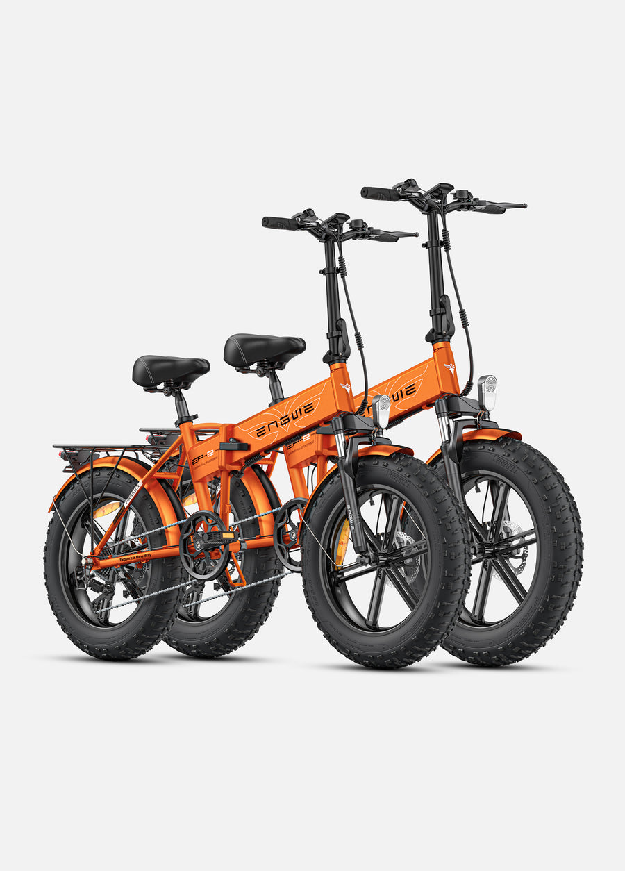 EP-2 PRO COMBO 250W 120 Km Range 25 Km/h Front Suspension Foldable E-bike