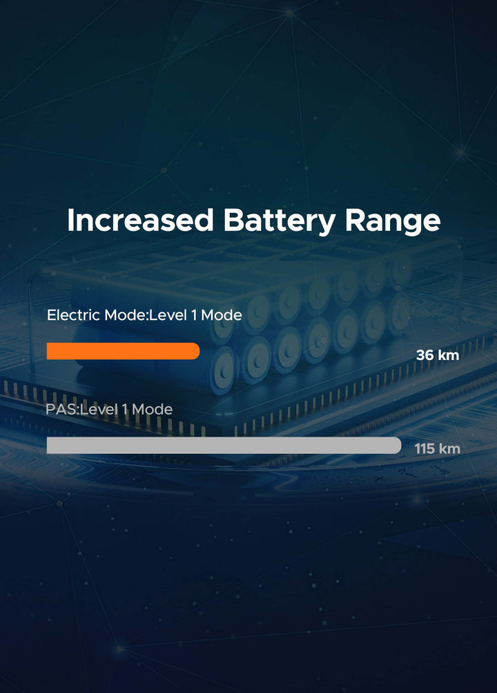 Rear Rack Battery