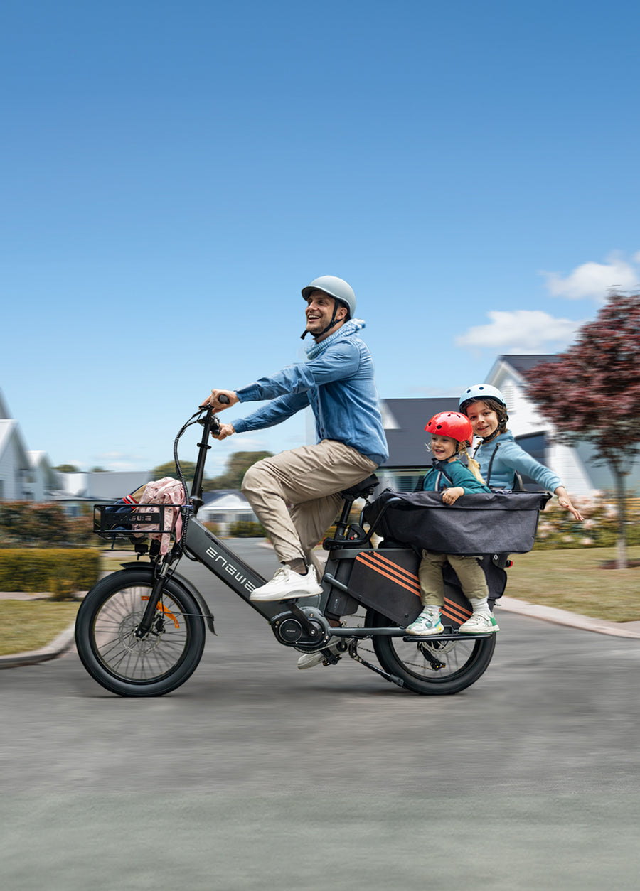 ENGWE LE20 250W Mid-drive Torque Sensor Step-Thru Cargo Ebike