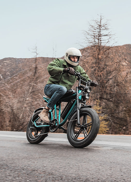 ENGWE M20 75KM+75KM Max Speed 25 km/h Dual Suspension Long Range E-bike
