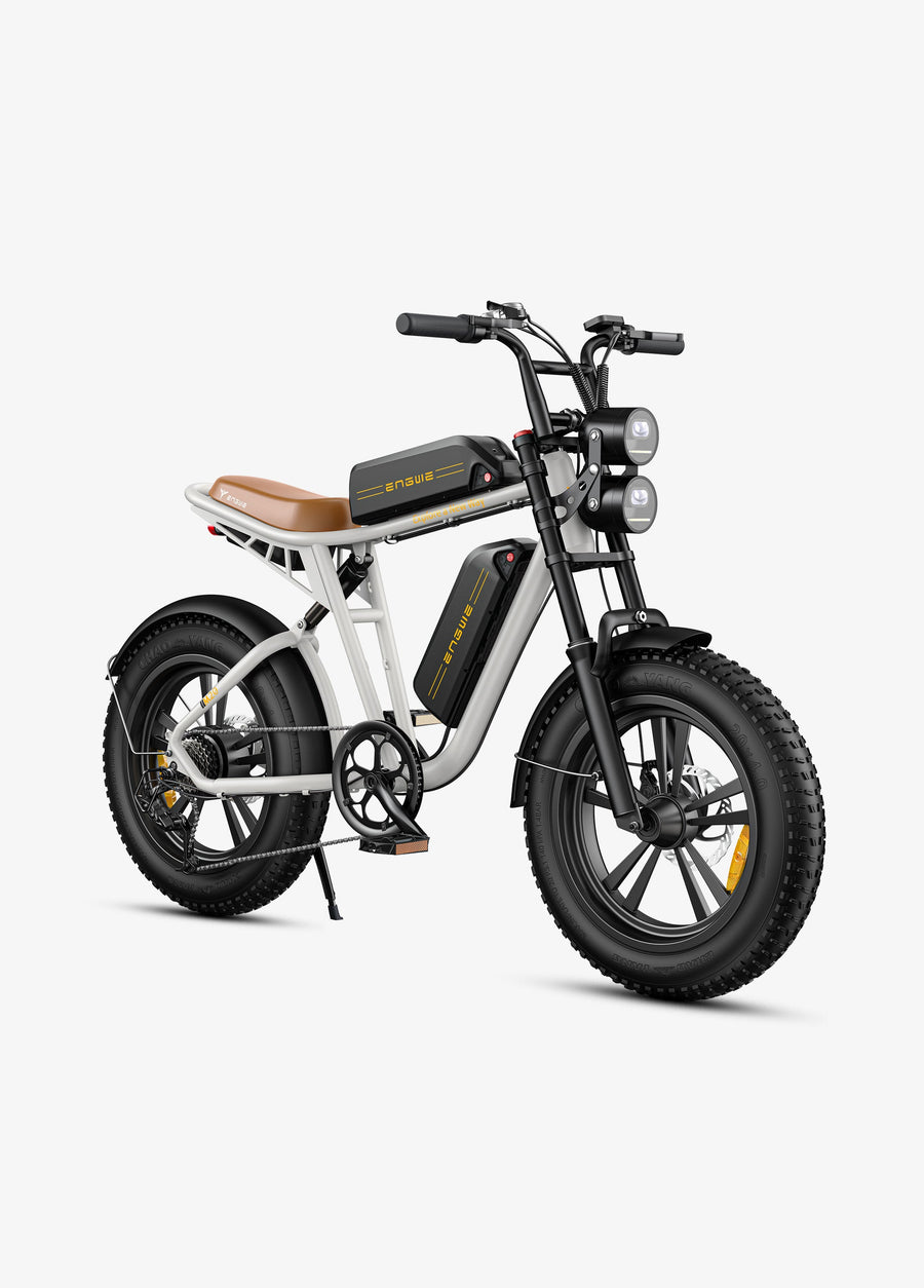 ENGWE M20 75KM+75KM Max Speed 25 km/h Dual Suspension Long Range E-bike