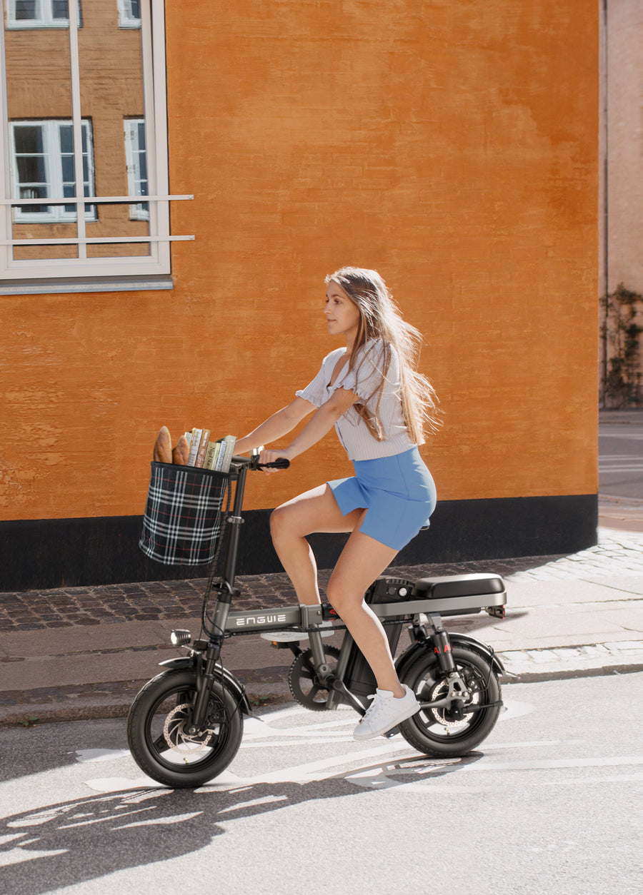 ENGWE T14 25OW Foldable Electric Bike City E-bike 1OAh 25km/h 8Okm