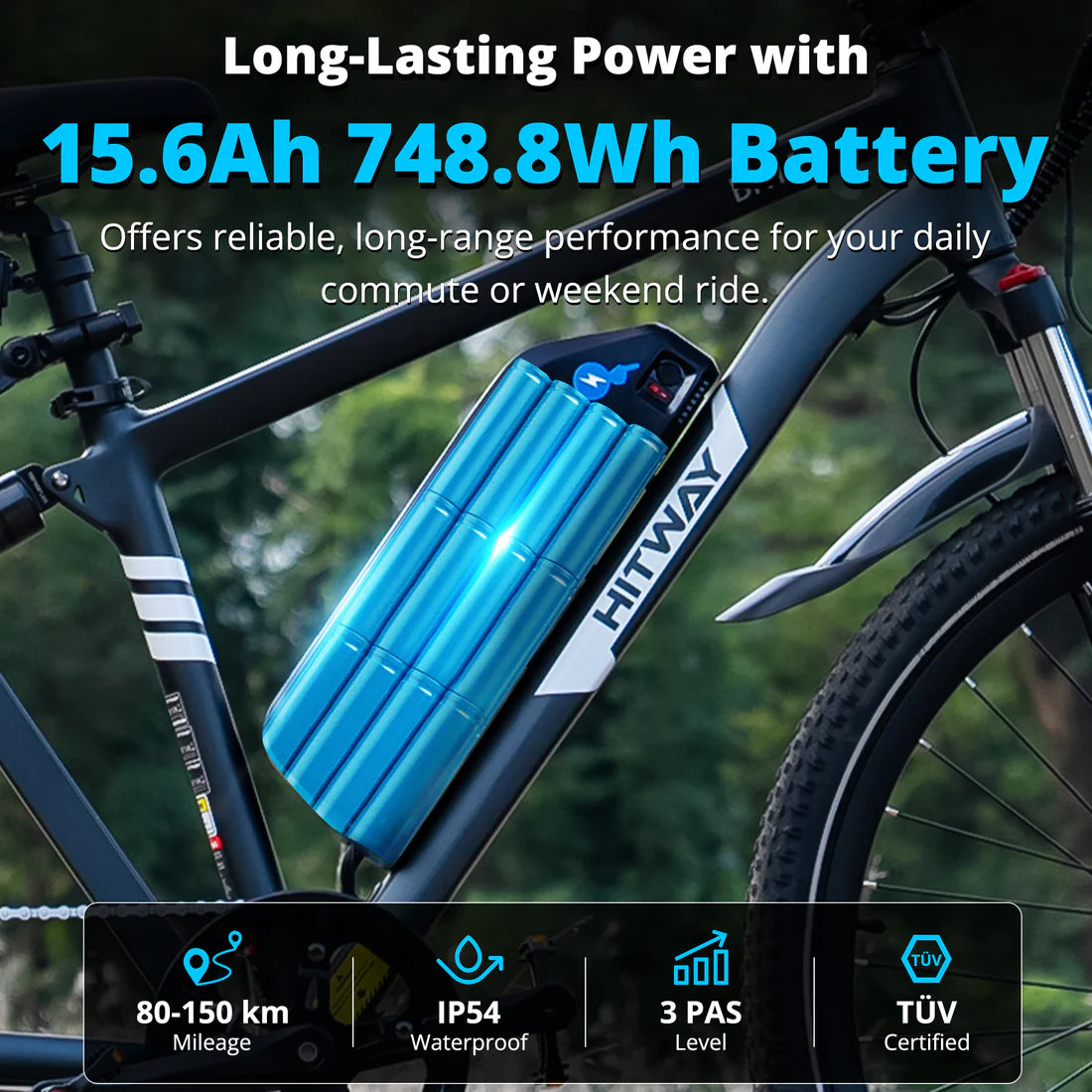 BK15 Plus 29 inch Electric Bike