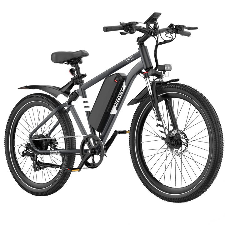 BK15 Plus 29 inch Electric Bike