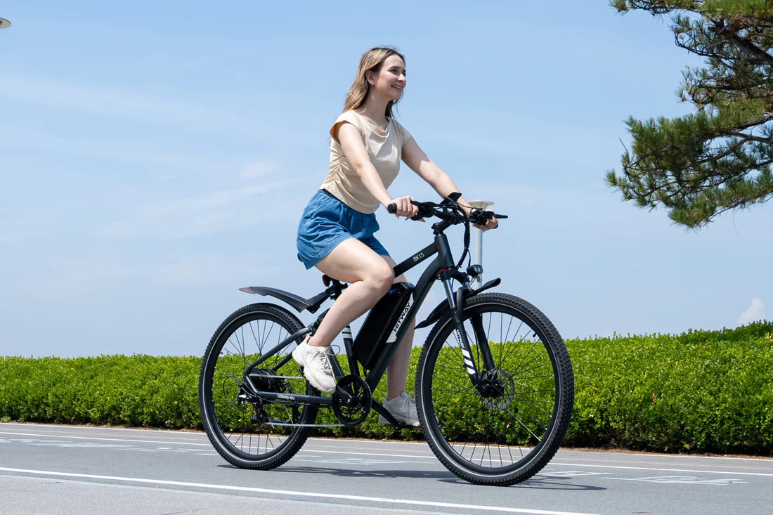 BK15 Plus 29 inch Electric Bike